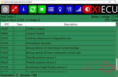 MaxiECU Fault Codes Screenshot